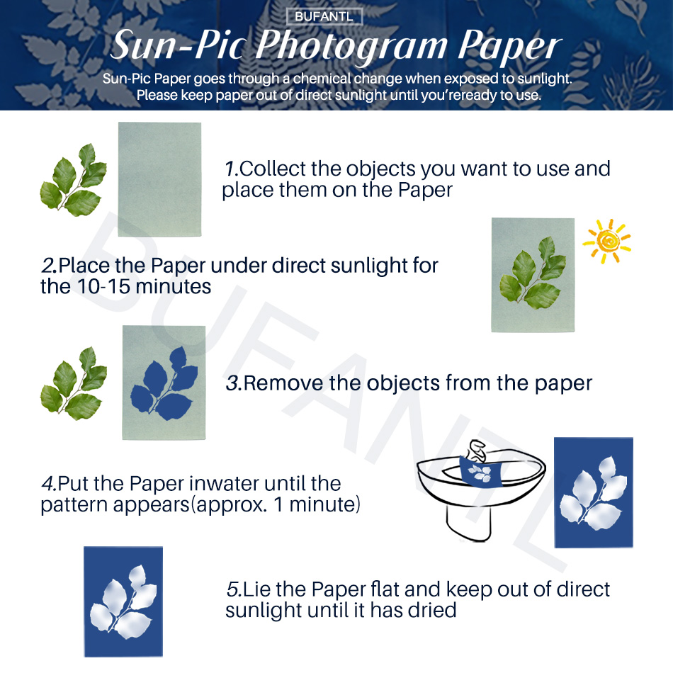 Cyanotype Paper 12 Sheets Refi - Photography Lighting For Beginners ulasan dan harga